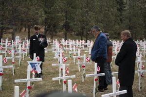 Field_of_Crosses_Nov_2024_002