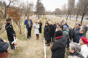 Field_of_Crosses_Nov_2024_006