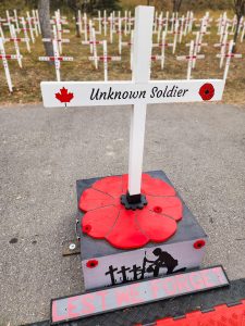 Field_of_Crosses_Nov_2024_013